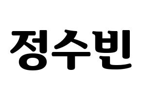 KPOP VICTON(빅톤、ビクトン) 정수빈 (チョン・スビン) コンサート用　応援ボード・うちわ　韓国語/ハングル文字型紙 通常
