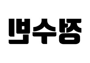 KPOP VICTON(빅톤、ビクトン) 정수빈 (チョン・スビン) コンサート用　応援ボード・うちわ　韓国語/ハングル文字型紙 左右反転