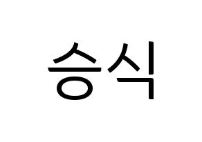 KPOP VICTON(빅톤、ビクトン) 강승식 (カン・スンシク) コンサート用　応援ボード・うちわ　韓国語/ハングル文字型紙 通常