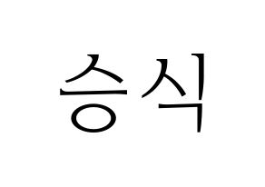 KPOP VICTON(빅톤、ビクトン) 강승식 (カン・スンシク) 応援ボード・うちわ　韓国語/ハングル文字型紙 通常