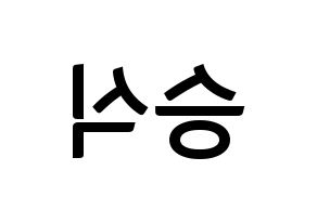 KPOP VICTON(빅톤、ビクトン) 강승식 (カン・スンシク) k-pop アイドル名前 ファンサボード 型紙 左右反転