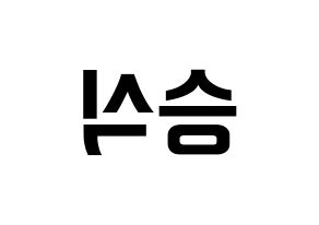 KPOP VICTON(빅톤、ビクトン) 강승식 (カン・スンシク) k-pop アイドル名前 ファンサボード 型紙 左右反転