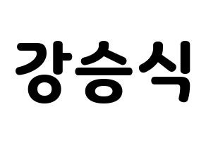 KPOP VICTON(빅톤、ビクトン) 강승식 (カン・スンシク) 応援ボード・うちわ　韓国語/ハングル文字型紙 通常