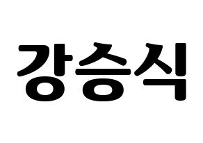 KPOP VICTON(빅톤、ビクトン) 강승식 (カン・スンシク) コンサート用　応援ボード・うちわ　韓国語/ハングル文字型紙 通常
