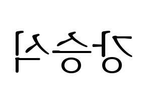 KPOP VICTON(빅톤、ビクトン) 강승식 (カン・スンシク) 応援ボード・うちわ　韓国語/ハングル文字型紙 左右反転