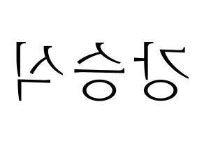 KPOP VICTON(빅톤、ビクトン) 강승식 (カン・スンシク) 応援ボード・うちわ　韓国語/ハングル文字型紙 左右反転