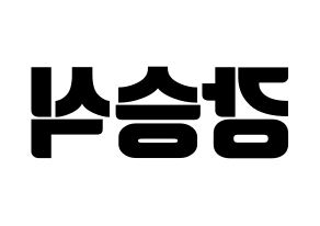 KPOP VICTON(빅톤、ビクトン) 강승식 (カン・スンシク) コンサート用　応援ボード・うちわ　韓国語/ハングル文字型紙 左右反転