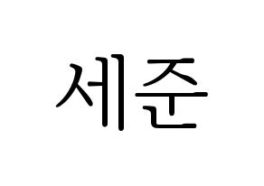 KPOP VICTON(빅톤、ビクトン) 임세준 (イム・セジュン) 応援ボード・うちわ　韓国語/ハングル文字型紙 通常