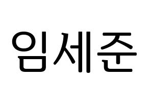 KPOP VICTON(빅톤、ビクトン) 임세준 (イム・セジュン) プリント用応援ボード型紙、うちわ型紙　韓国語/ハングル文字型紙 通常