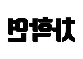 KPOP VIXX(빅스、ヴィックス) 엔 (エン) コンサート用　応援ボード・うちわ　韓国語/ハングル文字型紙 左右反転