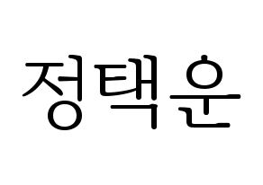 KPOP VIXX(빅스、ヴィックス) 레오 (レオ) 応援ボード・うちわ　韓国語/ハングル文字型紙 通常
