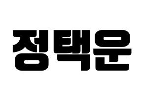 KPOP VIXX(빅스、ヴィックス) 레오 (レオ) コンサート用　応援ボード・うちわ　韓国語/ハングル文字型紙 通常