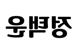 KPOP VIXX(빅스、ヴィックス) 레오 (レオ) コンサート用　応援ボード・うちわ　韓国語/ハングル文字型紙 左右反転