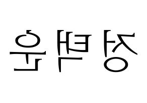 KPOP VIXX(빅스、ヴィックス) 레오 (レオ) 応援ボード・うちわ　韓国語/ハングル文字型紙 左右反転