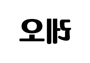 KPOP VIXX(빅스、ヴィックス) 레오 (レオ) コンサート用　応援ボード・うちわ　韓国語/ハングル文字型紙 左右反転