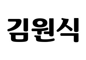 KPOP VIXX(빅스、ヴィックス) 라비 (ラビ) コンサート用　応援ボード・うちわ　韓国語/ハングル文字型紙 通常
