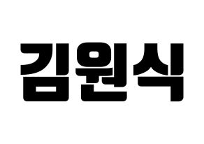 KPOP VIXX(빅스、ヴィックス) 라비 (ラビ) コンサート用　応援ボード・うちわ　韓国語/ハングル文字型紙 通常