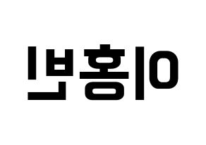 KPOP VIXX(빅스、ヴィックス) 홍빈 (ホンビン) k-pop アイドル名前 ファンサボード 型紙 左右反転