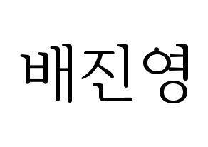 KPOP Wanna One(워너원、ワナワン) 배진영 (ペ・ジンヨン) 応援ボード・うちわ　韓国語/ハングル文字型紙 通常