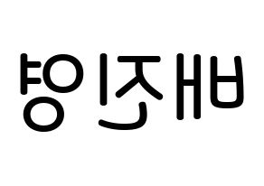 KPOP Wanna One(워너원、ワナワン) 배진영 (ペ・ジンヨン, ペ・ジンヨン) 無料サイン会用、イベント会用応援ボード型紙 左右反転