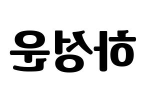KPOP Wanna One(워너원、ワナワン) 하성운 (ハ・ソンウン) コンサート用　応援ボード・うちわ　韓国語/ハングル文字型紙 左右反転