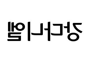 KPOP Wanna One(워너원、ワナワン) 강다니엘 (カン・ダニエル) k-pop アイドル名前 ファンサボード 型紙 左右反転