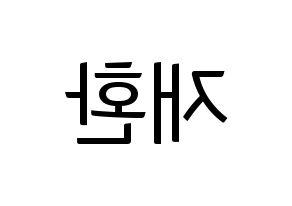 KPOP Wanna One(워너원、ワナワン) 김재환 (キム・ジェファン) コンサート用　応援ボード・うちわ　韓国語/ハングル文字型紙 左右反転