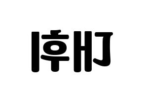 KPOP Wanna One(워너원、ワナワン) 이대휘 (イ・デフィ) コンサート用　応援ボード・うちわ　韓国語/ハングル文字型紙 左右反転