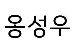 KPOP Wanna One(워너원、ワナワン) 옹성우 (オン・ソンウ, オン・ソンウ) 無料サイン会用、イベント会用応援ボード型紙 通常