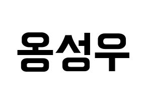 KPOP Wanna One(워너원、ワナワン) 옹성우 (オン・ソンウ) k-pop アイドル名前 ファンサボード 型紙 通常