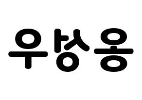 KPOP Wanna One(워너원、ワナワン) 옹성우 (オン・ソンウ) 応援ボード・うちわ　韓国語/ハングル文字型紙 左右反転