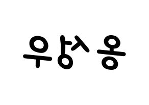 KPOP Wanna One(워너원、ワナワン) 옹성우 (オン・ソンウ) 名前 応援ボード 作り方 左右反転