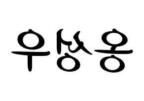 KPOP Wanna One(워너원、ワナワン) 옹성우 (オン・ソンウ) k-pop 応援ボード メッセージ 型紙 左右反転