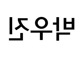 KPOP Wanna One(워너원、ワナワン) 박우진 (パク・ウジン, パク・ウジン) 無料サイン会用、イベント会用応援ボード型紙 左右反転