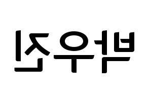 KPOP Wanna One(워너원、ワナワン) 박우진 (パク・ウジン) k-pop アイドル名前 ファンサボード 型紙 左右反転