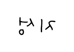 KPOP Wanna One(워너원、ワナワン) 윤지성 (ユン・ジソン) k-pop 応援ボード メッセージ 型紙 左右反転