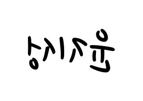KPOP Wanna One(워너원、ワナワン) 윤지성 (ユン・ジソン) 応援ボード ハングル 型紙  左右反転