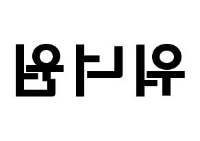 KPOP歌手 Wanna One(워너원、ワナワン) 応援ボード型紙、うちわ型紙　韓国語/ハングル文字 左右反転