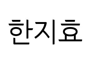 KPOP Weeekly(위클리、ウィクリー) 지한 (ジハン) コンサート用　応援ボード・うちわ　韓国語/ハングル文字型紙 通常