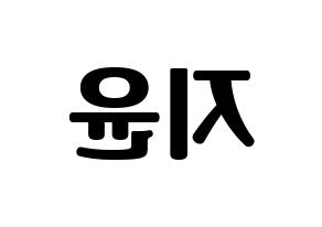 KPOP Weeekly(위클리、ウィクリー) 신지윤 (シン・ジユン) コンサート用　応援ボード・うちわ　韓国語/ハングル文字型紙 左右反転