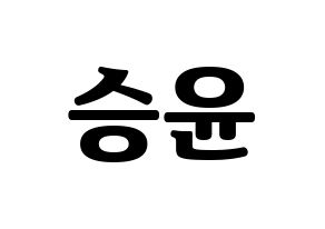 KPOP WINNER(위너、ウィナー) 강승윤 (カン・スンユン) コンサート用　応援ボード・うちわ　韓国語/ハングル文字型紙 通常