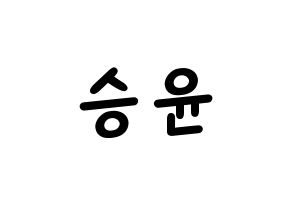 KPOP WINNER(위너、ウィナー) 강승윤 (カン・スンユン) 名前 応援ボード 作り方 通常