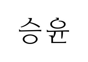 KPOP WINNER(위너、ウィナー) 강승윤 (カン・スンユン) 応援ボード・うちわ　韓国語/ハングル文字型紙 通常