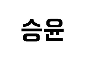 KPOP WINNER(위너、ウィナー) 강승윤 (カン・スンユン) k-pop アイドル名前 ファンサボード 型紙 通常