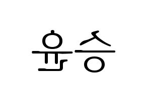 KPOP WINNER(위너、ウィナー) 강승윤 (カン・スンユン) 応援ボード・うちわ　韓国語/ハングル文字型紙 左右反転