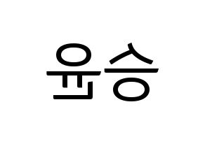 KPOP WINNER(위너、ウィナー) 강승윤 (カン・スンユン) コンサート用　応援ボード・うちわ　韓国語/ハングル文字型紙 左右反転