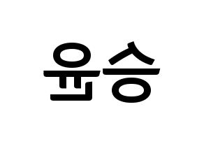 KPOP WINNER(위너、ウィナー) 강승윤 (カン・スンユン) k-pop アイドル名前 ファンサボード 型紙 左右反転