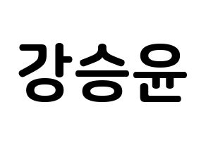 KPOP WINNER(위너、ウィナー) 강승윤 (カン・スンユン, カン・スンユン) k-pop アイドル名前　ボード 言葉 通常