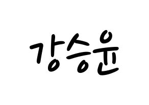 KPOP WINNER(위너、ウィナー) 강승윤 (カン・スンユン) 応援ボード ハングル 型紙  通常