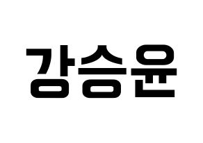 KPOP WINNER(위너、ウィナー) 강승윤 (カン・スンユン) k-pop アイドル名前 ファンサボード 型紙 通常